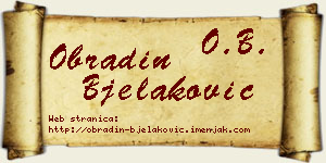 Obradin Bjelaković vizit kartica